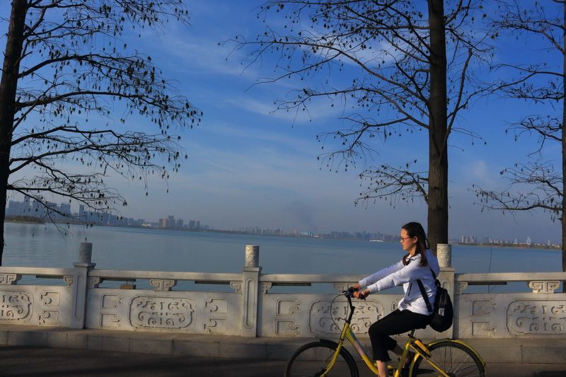 东湖绿道 -2018年3月10日摄于武汉东湖