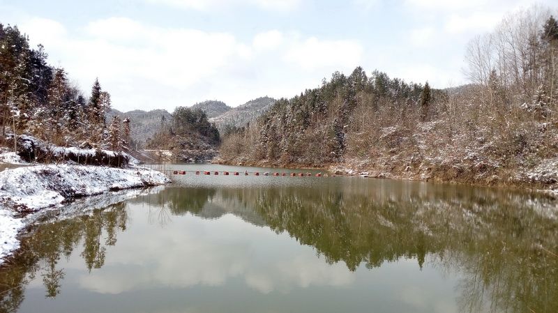 晴冬，情动~ 2016年1月23日摄于湖北利川