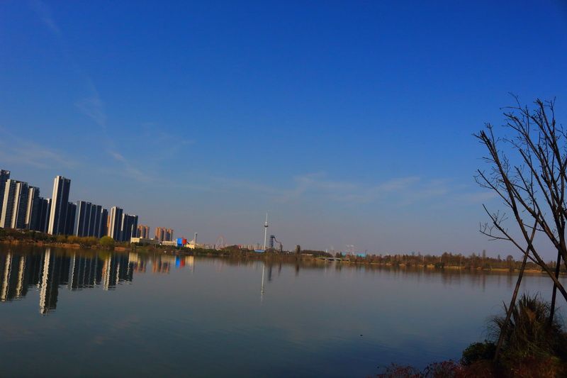 东湖绿道 -2018年3月10日摄于武汉东湖