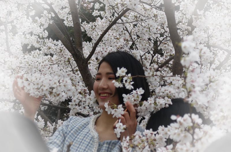 花季